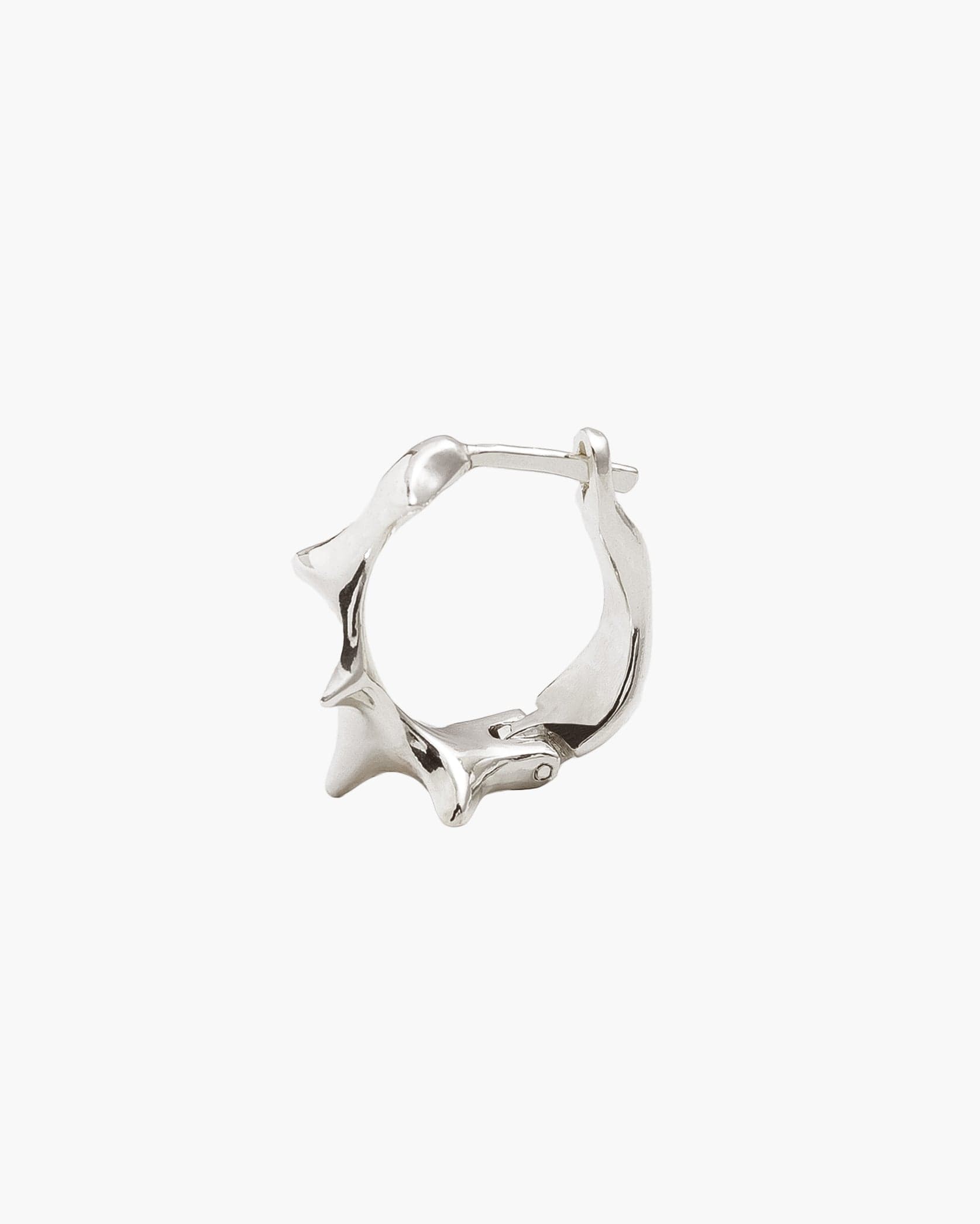 Nasse Earring