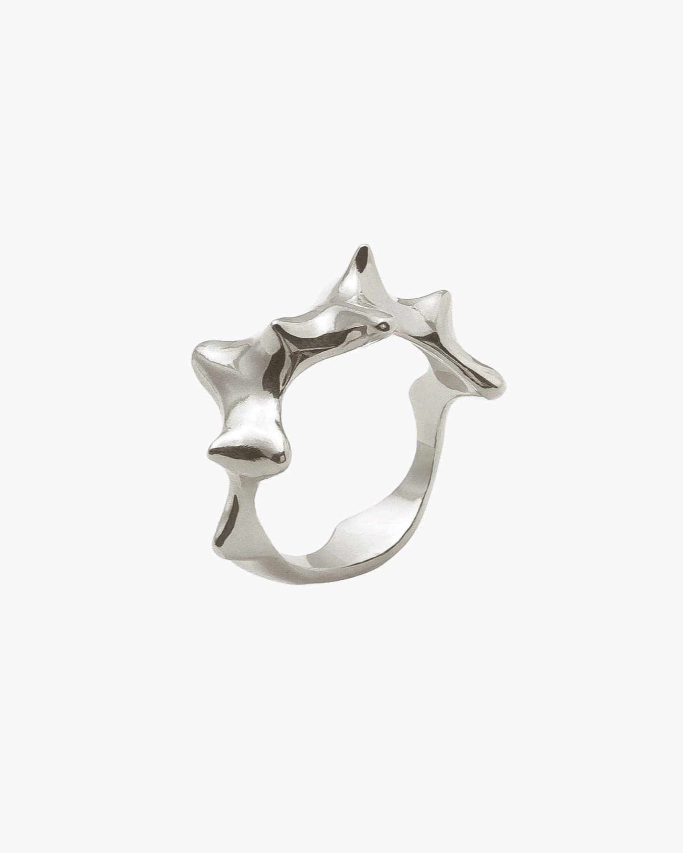 Nasse Ring