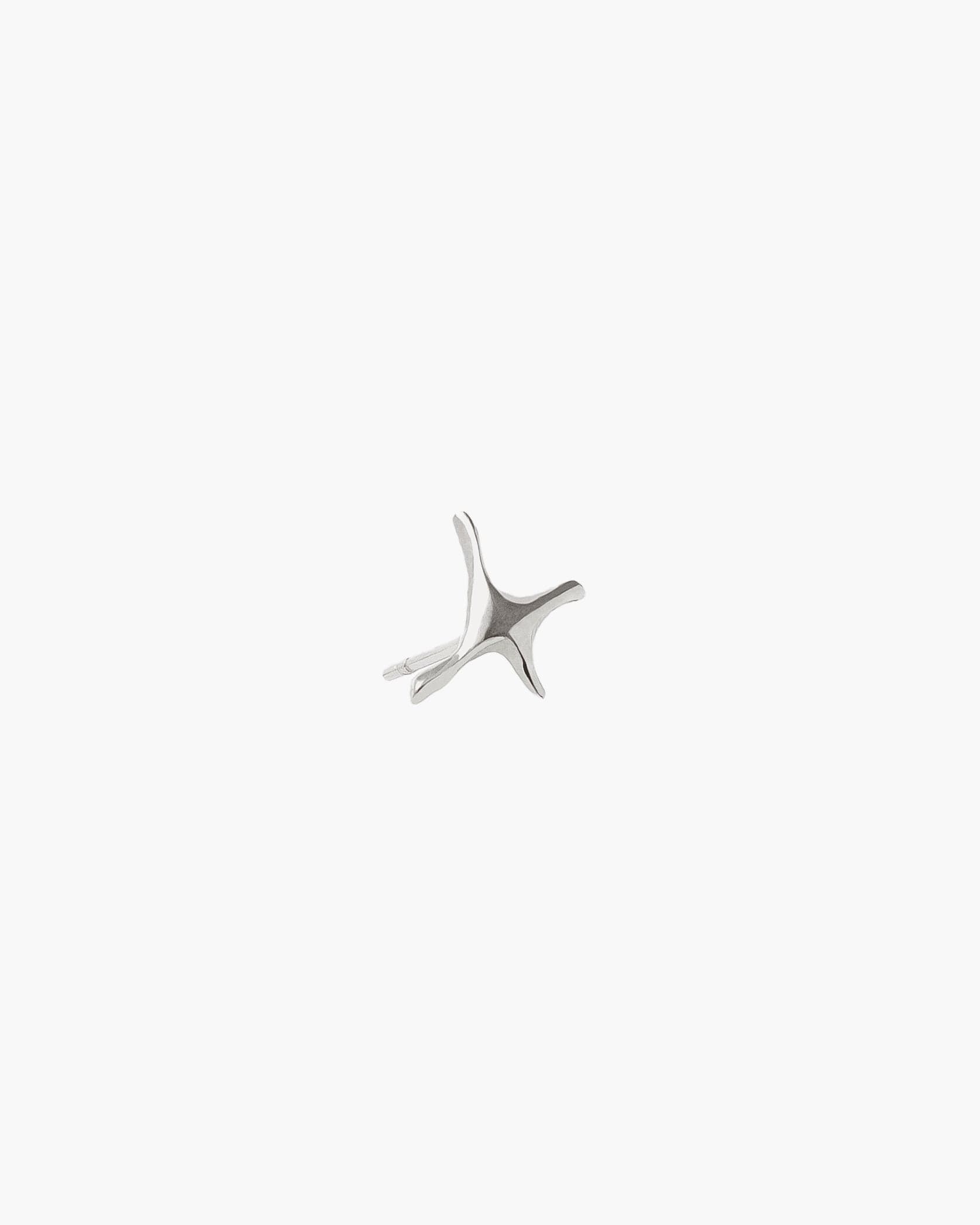 Star Earring